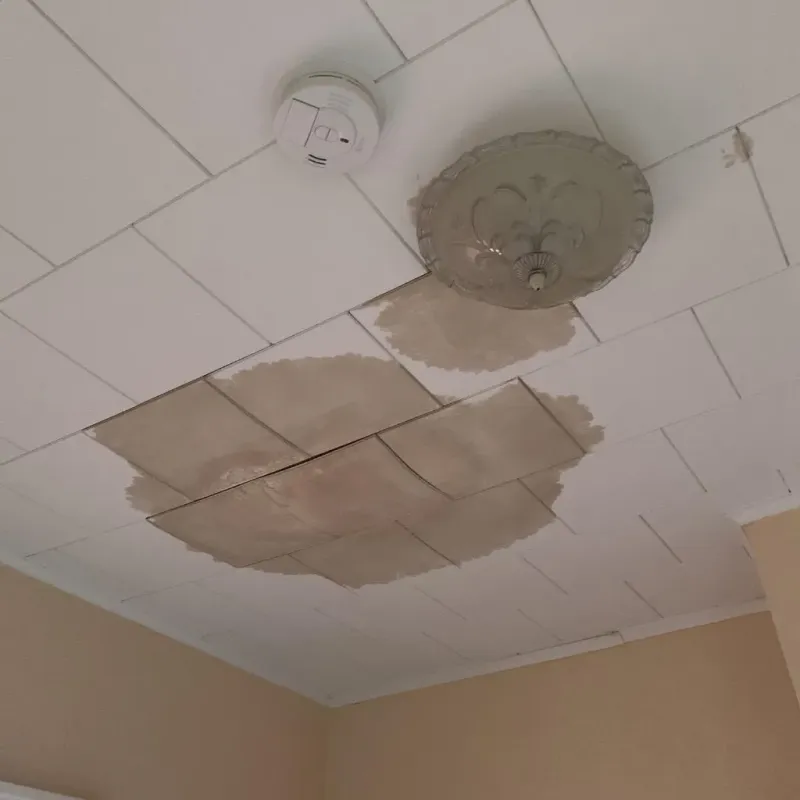 Ceiling Water Damage Repair in Hinton, OK