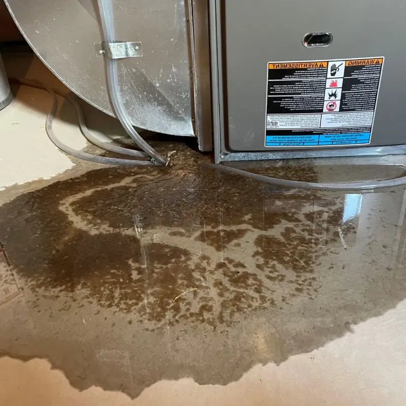 Pipe Burst and Leak Restoration in Hinton, OK